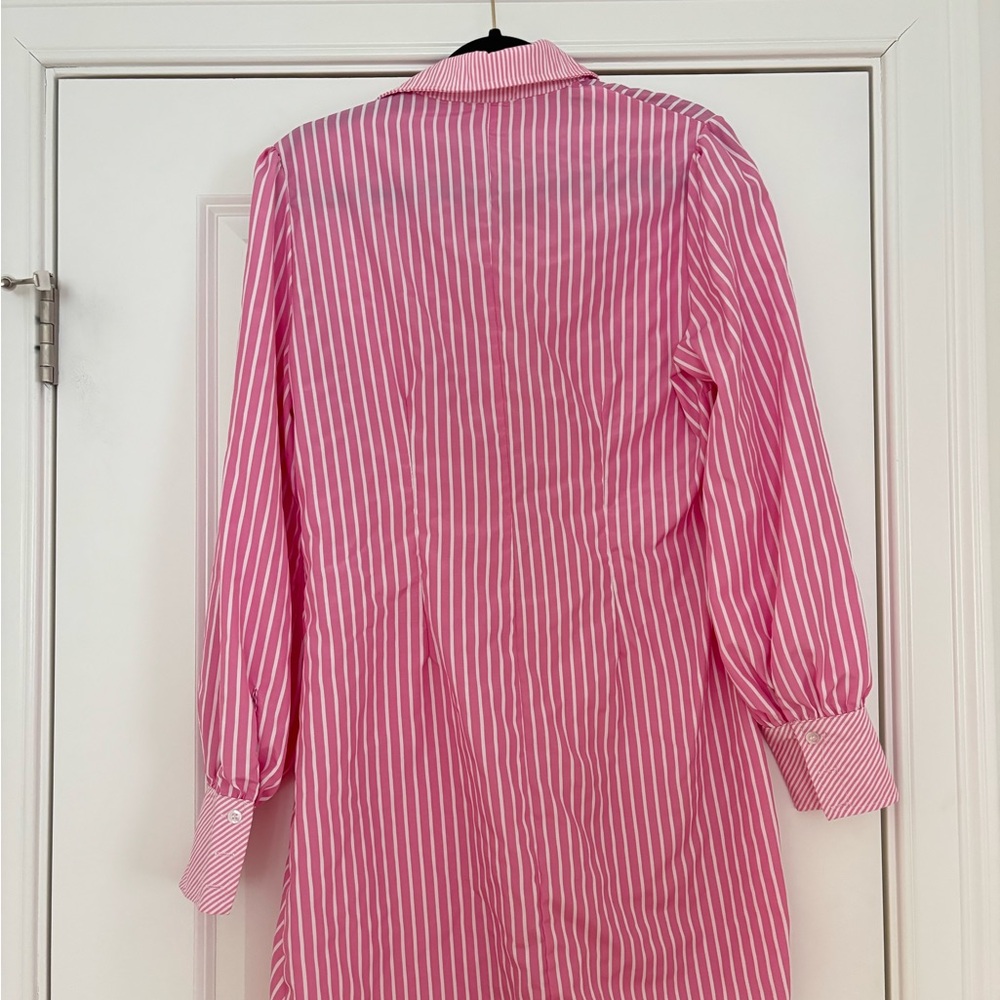 Pink & White Striped Button-Up Shirt Dress - Picture 7 of 9